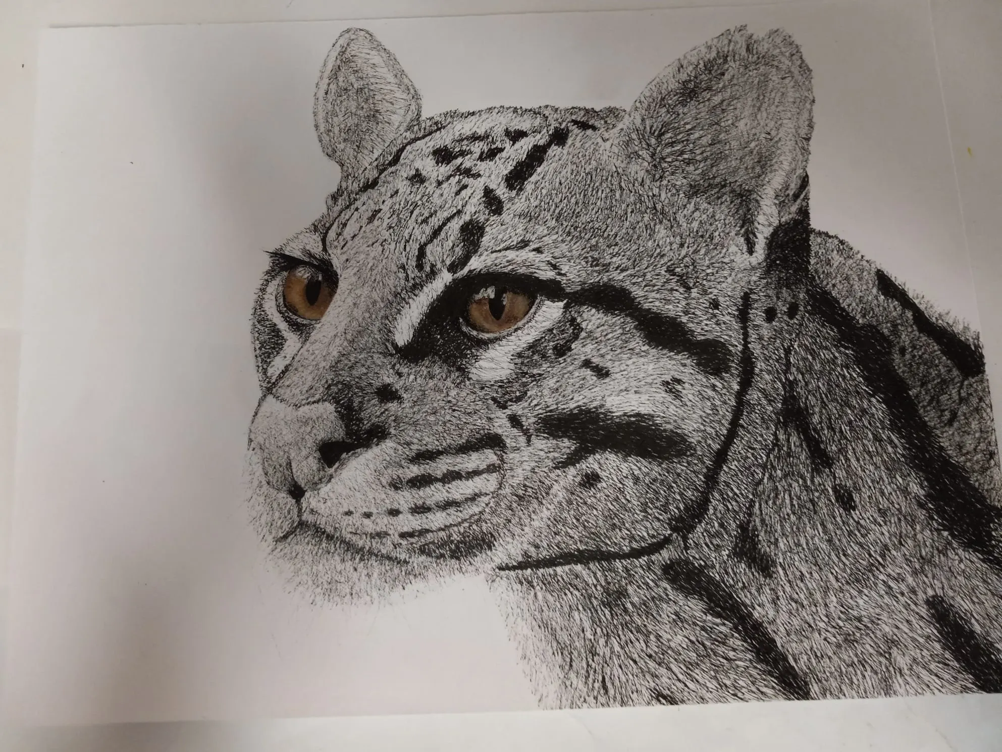 Drawing 6